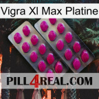 Vigra Xl Max Platinum 10